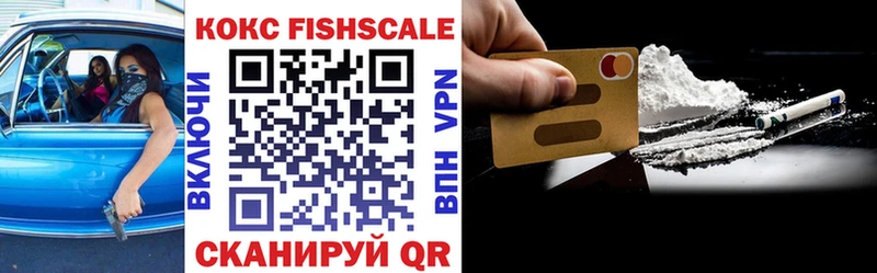 Купить закладки  Краснознаменск  COCAIN FishScale 