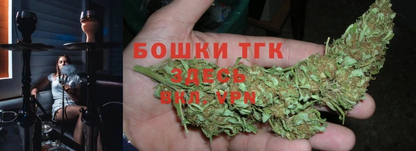 прущая мука Дмитриев