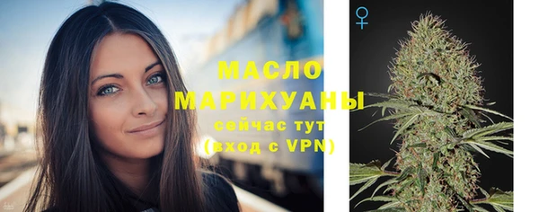 прущая мука Дмитриев