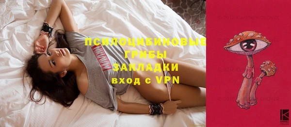 прущая мука Дмитриев