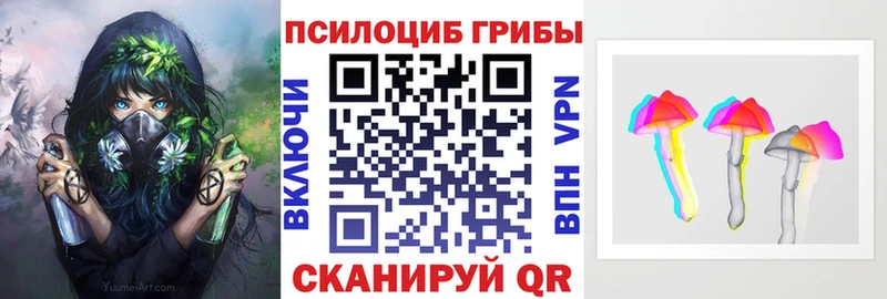 Галлюциногенные грибы Psilocybine cubensis  Купить где  Краснознаменск 